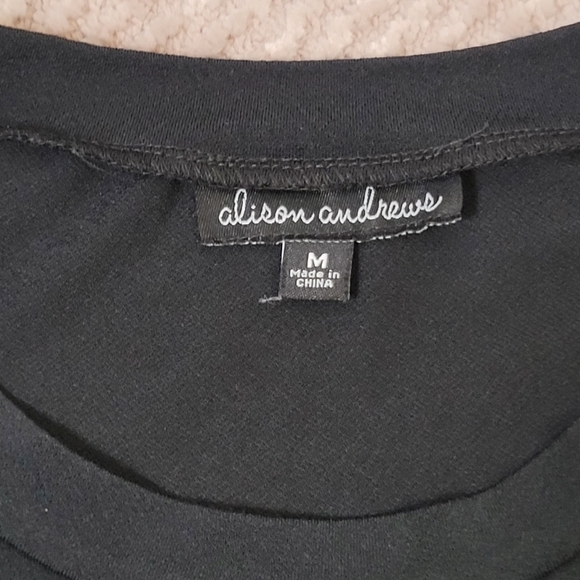 Alison Andrews Women's Black Mesh Polka Dot Sleeve Shirt Size Medium - Picture 6 of 10